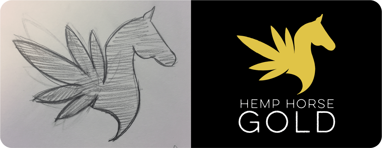 Hemp Horse logo design process, from sketch to finished product